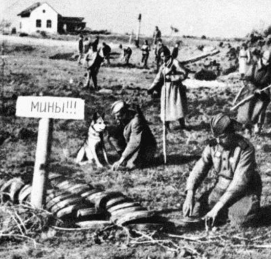 Сто  любопытных фактов о Советском Союзе