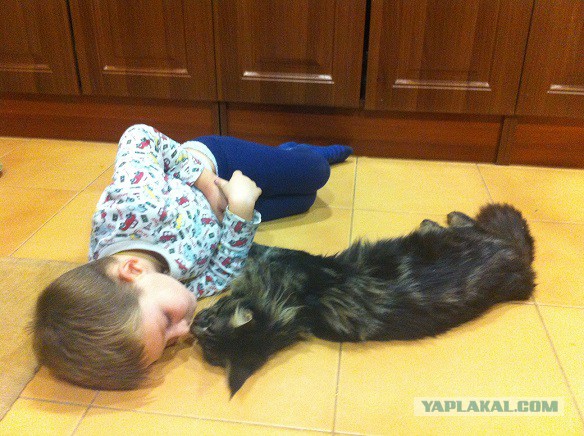 Родители оставили младенца с собакой. Вернувшись, они обнаружили это…