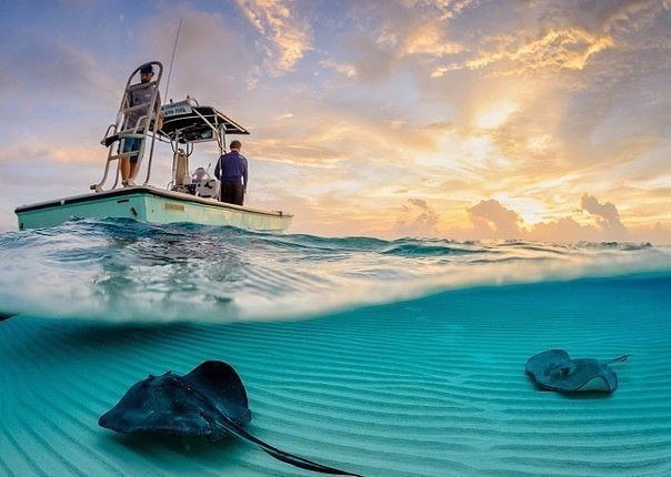 Подборка картинок