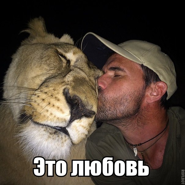Божьи твари
