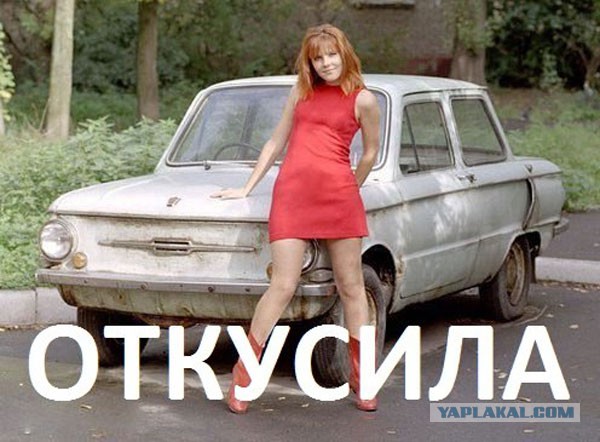 Порция картинок из сети