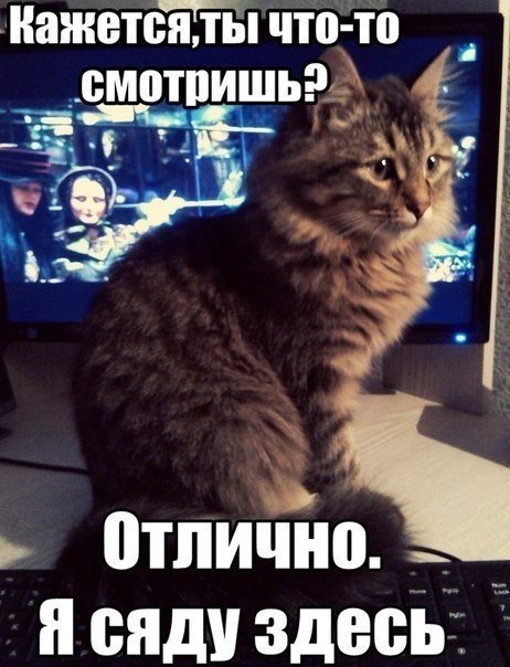 Мохнатые беспредельщики