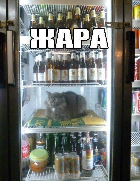 Ассорти картинок из сети