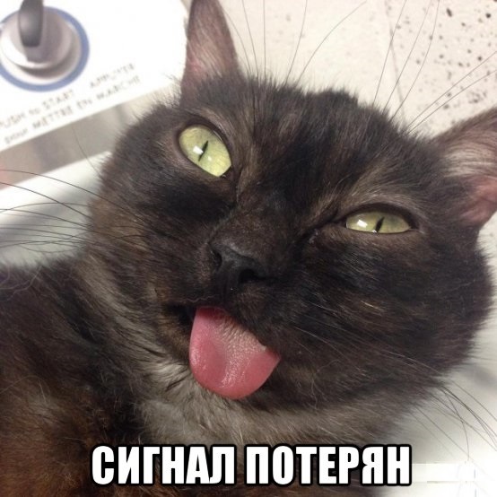 Котейко с вечно высунутым языком