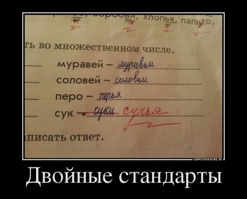 Порция картинок из сети