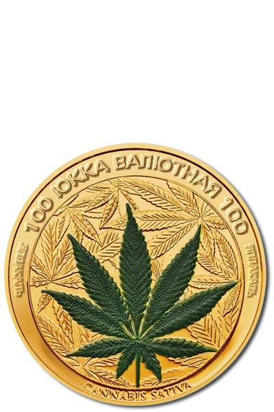 ЯП посетители