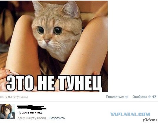Юмор не для всех