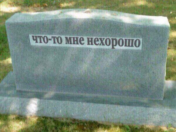 Порция приколов на утро.