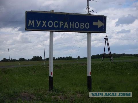 “…Жили-были всё нормально. Обоср..лись все буквально”
