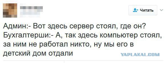 Очередная порция перлов