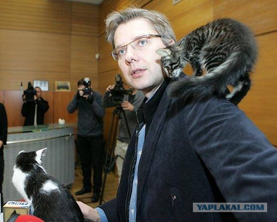 Сглазили. Латвии не удалось вернуть Ригу