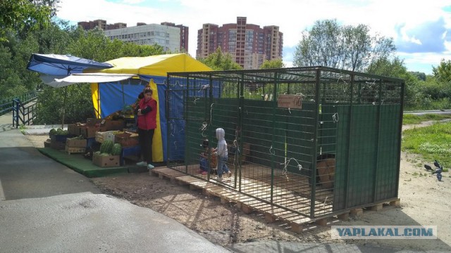 Удивительные снимки с российских просторов