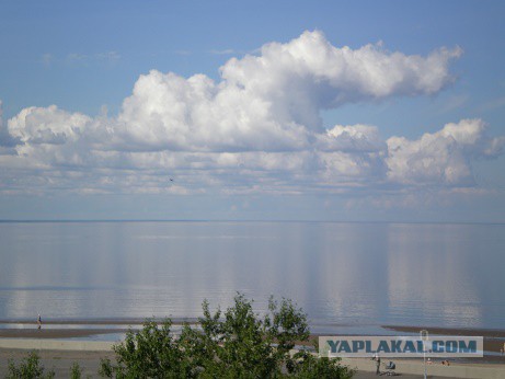 Беседка ФиС ЯПа