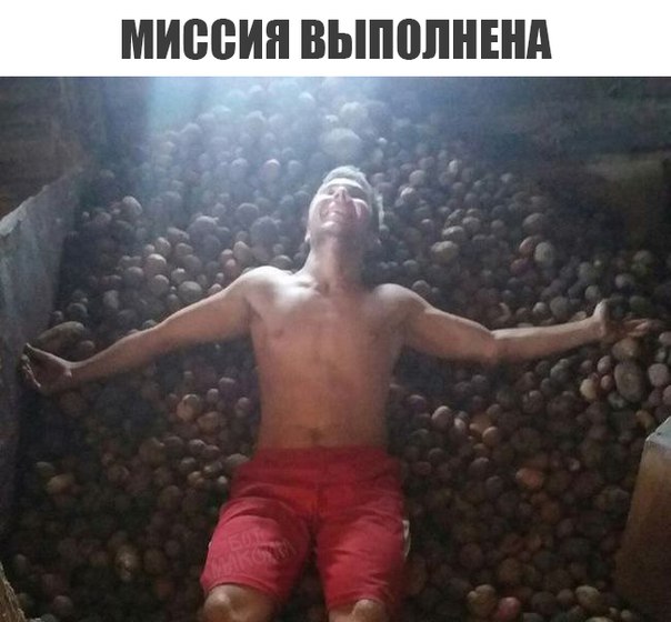 Это так мило