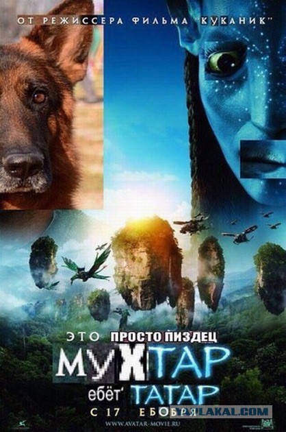 Жизнь удивительна. 30+