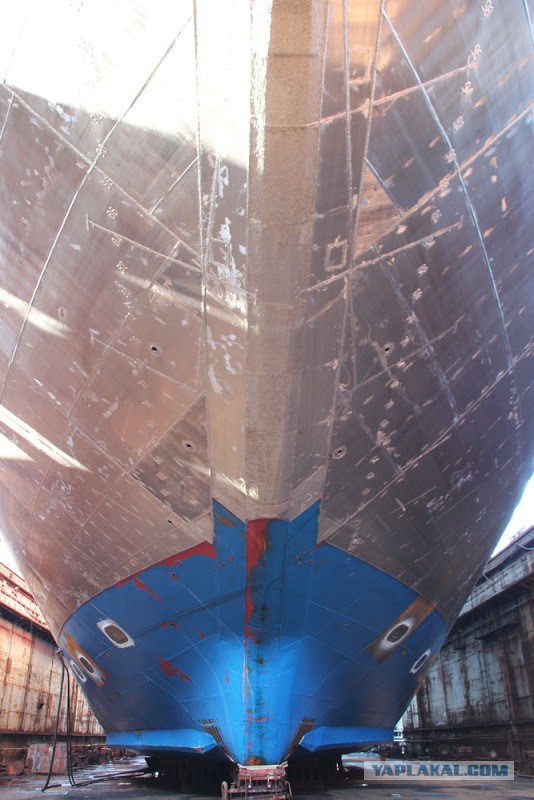 Росатомфлот. Огромный атомный ледокол «Таймыр» прошел всего лишь в нескольких метрах