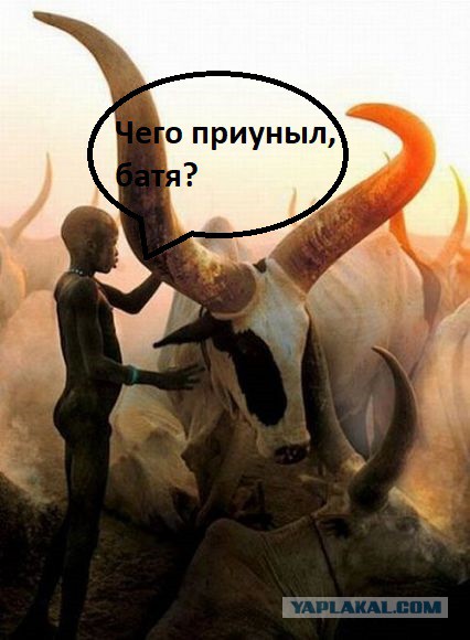 Воспитываю сына негра