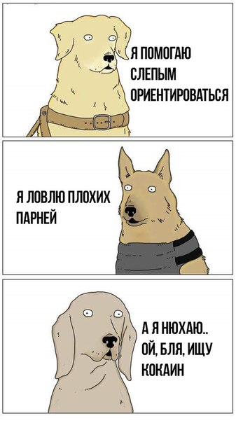 Немного картинок на среду