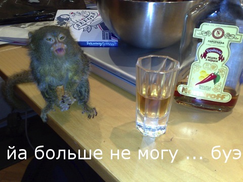 Фотокомикс: А куда ушла жена?