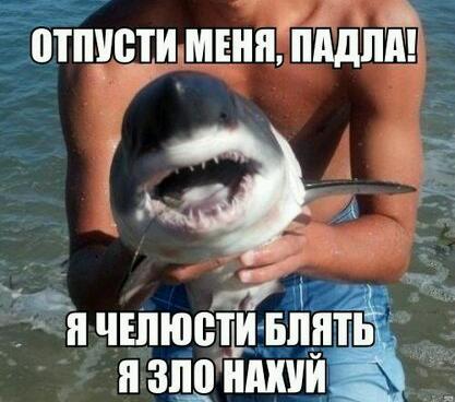 Поймали