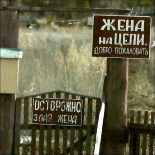 Подборка интересных и веселых картинок