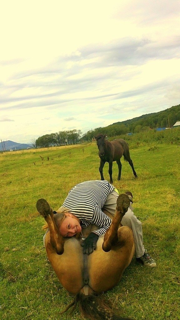 Скотсети и прочие интернеты 04.03.19