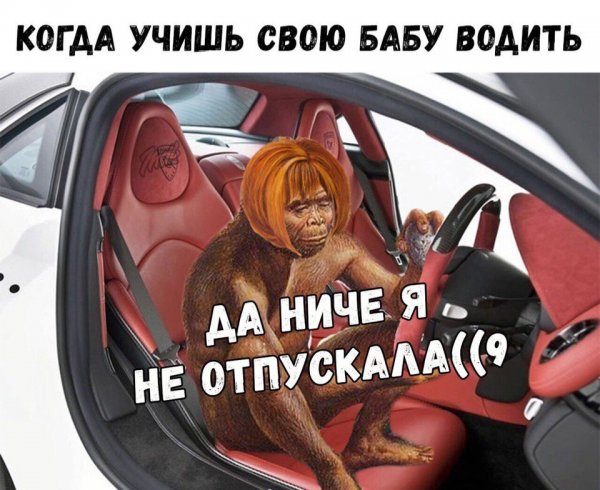 Немного картинок для настроения 07.01.20
