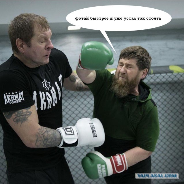 Кадыров побил Емельяненко