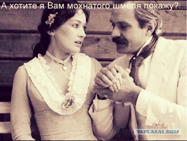 Коротко о меркантильности и жадности