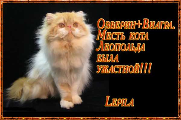 Очень пошлые картинки про это.18+