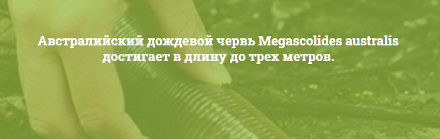 А вдруг вы не знали
