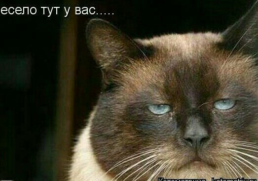 Быть милым и придурком одновременно