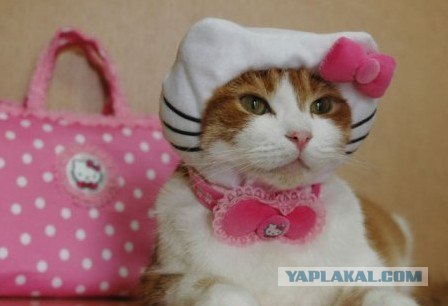 Шокирующее ПОРНО! 21+ фото