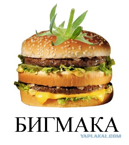 Фотожаба: Лето, фрукты, генетика!
