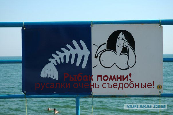Не купайтесь с незнакомыми рыбами!