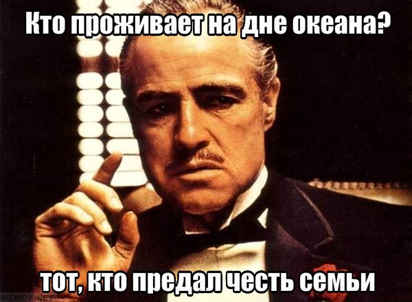 Кто живёт в ракушках, которые хранятся в серванте у каждого?