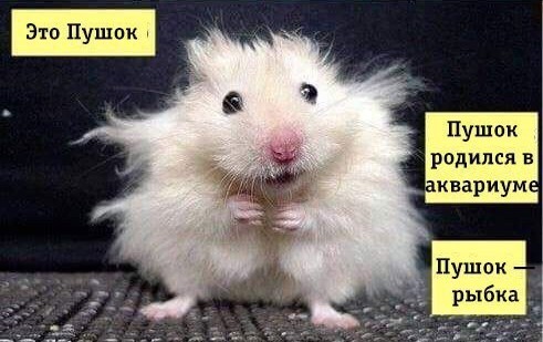Умер Роман Гребенюк, пострадавший в сбере от нападения Арсена Мелконяна.