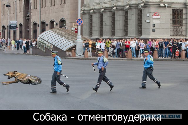 Гуляния в РБ 15.06: Фото и фотожабы