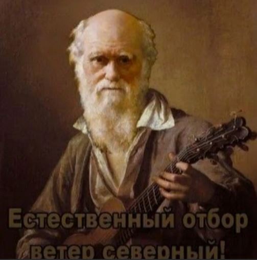 Мастер-класс по езде в речку