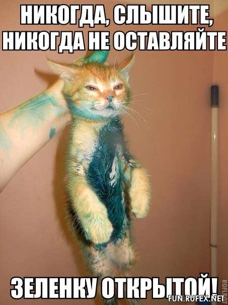 Попытка грабежа