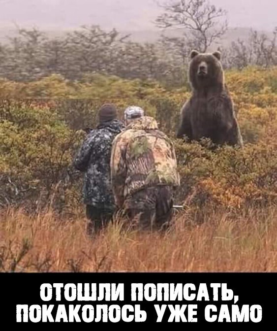 Баянисто-небаянистый юмор 21.01.21