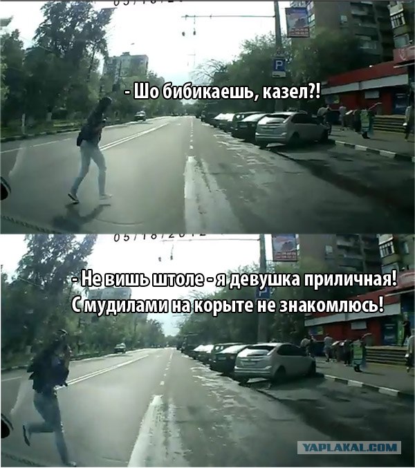 Внезапно... лосиха на улицах города