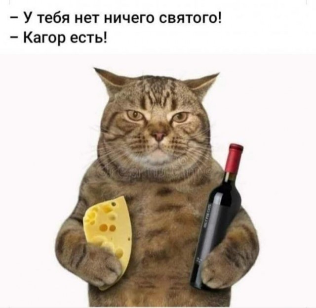 Жена стала лесбиянкой