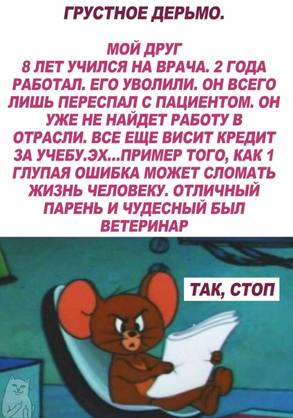 Картинки и мемы для настроения 024