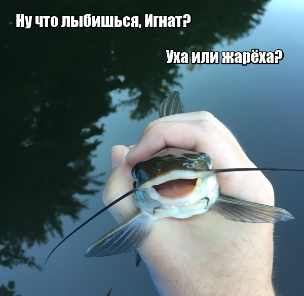 Японский трешачок