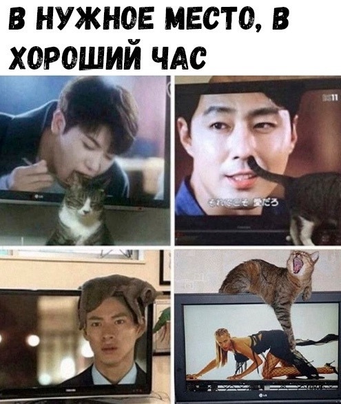 40 картинок разных 03.02.2022