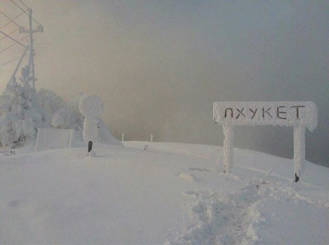 Картинки и буквы 11.03.22