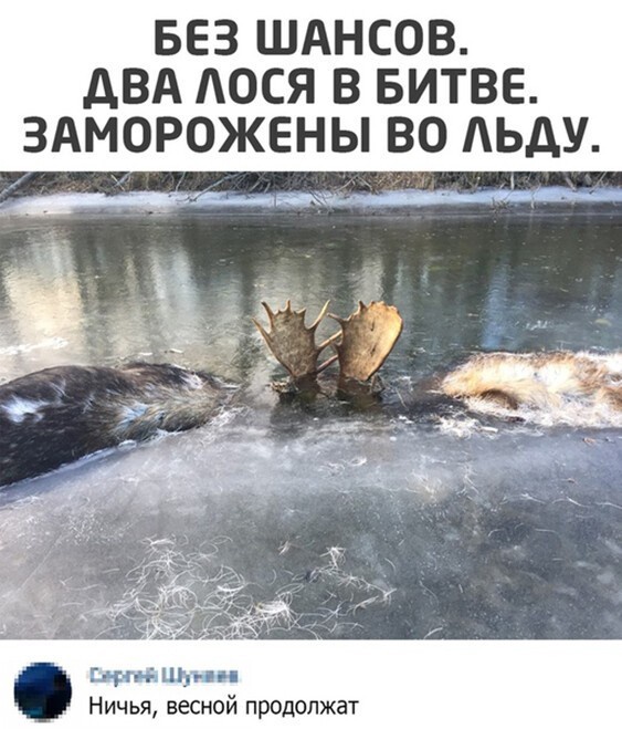 Так себе картинки 24.03.22
