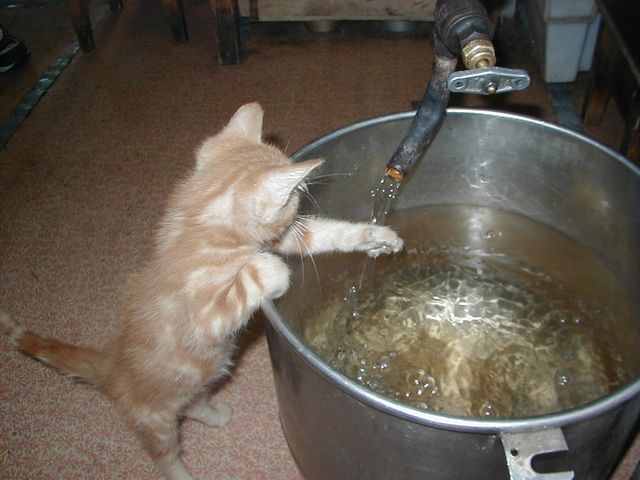 Чукотка,