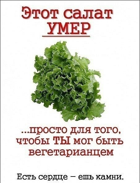 Вегетарианцы негодуют